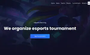 ระบบการแข่งขัน eSports ,ซอฟต์แวร์ ให้เช่า รายเดือน www.fulltion.com
