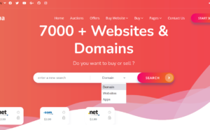 Flippa Clone – เว็บไซต์และระบบตลาดโดเมน ,ซอฟต์แวร์ ให้เช่า รายเดือน www.fulltion.com