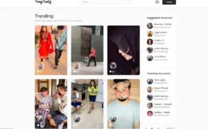 TikTok โคลนการแชร์วิดีโอสั้น ๆ ,ซอฟต์แวร์ ให้เช่า รายเดือน www.fulltion.com